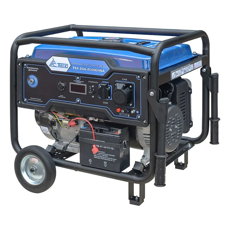 ТСС SGG 8000EHNA бензиновый генератор 160014