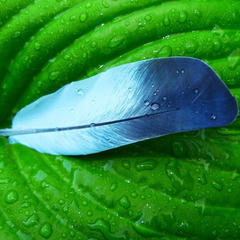 Когда клиент работает на нас! 5 способов попросить отзыв