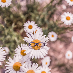 Укажите время для автоматических выгрузок