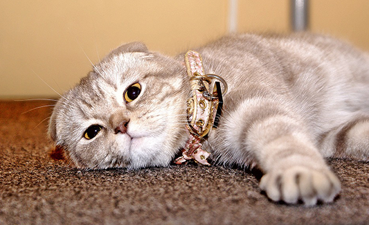 Выгрузка в Яндекс.Маркет (YML) стала еще удобнее