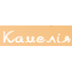 Камелия - модные сумки