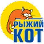 Рыжий кот