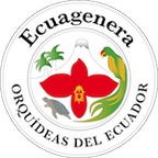 Ecuagenera