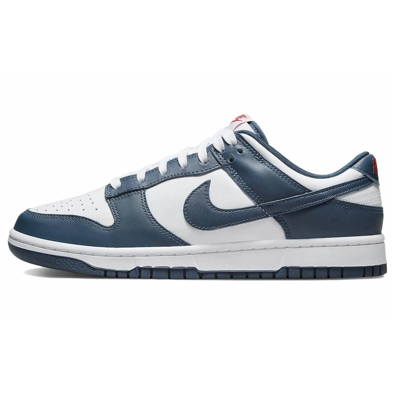 Nike Dunk Low Retro 