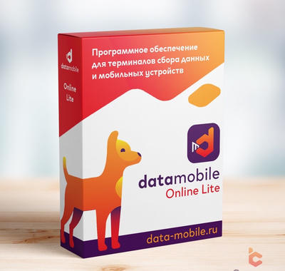 DMcloud: ПО DataMobile, версия Online Lite (Подписка на 6 месяцев, арт. DMOnlineLite6m)