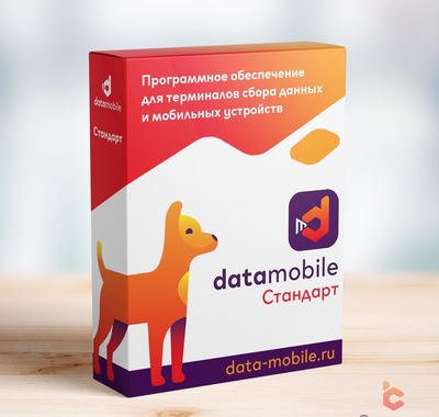 DMcloud: ПО DataMobile, версия Стандарт (LifeTime, арт. DM)