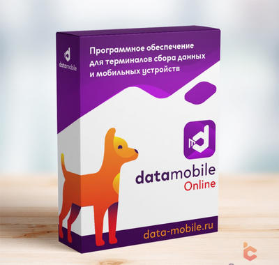 Подписка на обновления DataMobile для версий LifeTime (Online, на 12 месяцев, арт. DMOnlineUpd)