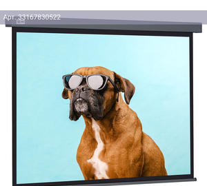 Экран рулонный Cactus Wallscreen CS-PSW-149X265-SG