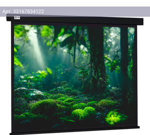 Экран рулонный Cactus Wallscreen CS-PSW-213X213-BK