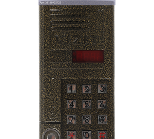 Аудиопанель Vizit БВД-SM101T