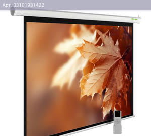 Экран рулонный Cactus MotoExpert CS-PSME-300x188-WT