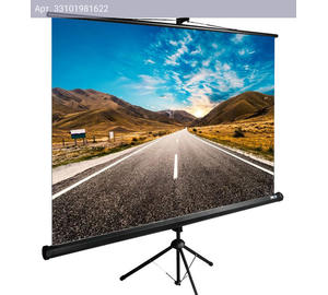 Экран рулонный Cactus TriExpert CS-PSTE-160x160-BK