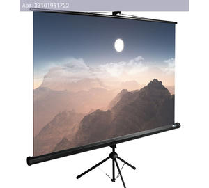 Экран рулонный Cactus TriExpert CS-PSTE-180x180-BK