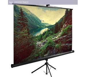 Экран рулонный Cactus TriExpert CS-PSTE-220x220-BK