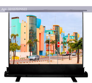 Экран рулонный Cactus FloorExpert CS-PSFLE-160X120