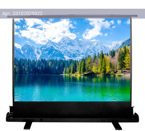 Экран рулонный Cactus FloorExpert CS-PSFLE-160X90