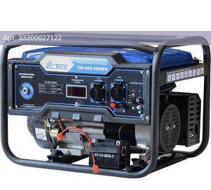 Генератор ТСС SGG 2800EN (060004)