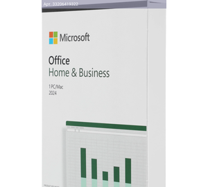 Офисное приложение Microsoft Office Home and Business 2024 English Medialess (ep2-06638)