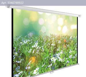 Экран рулонный Cactus WallExpert CS-PSWE-200x200-WT