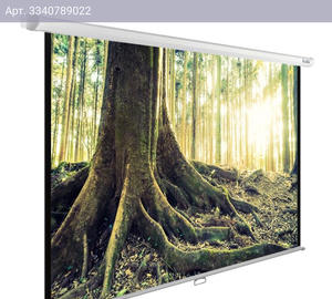 Экран рулонный Cactus WallExpert CS-PSWE-220x220-WT