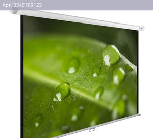Экран рулонный Cactus WallExpert CS-PSWE-200x150-WT