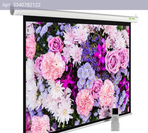 Экран рулонный Cactus MotoExpert CS-PSME-420x315-WT