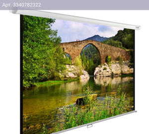 Экран рулонный Cactus WallExpert CS-PSWE-220x165-WT