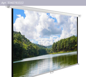 Экран рулонный Cactus WallExpert CS-PSWE-240x150-WT