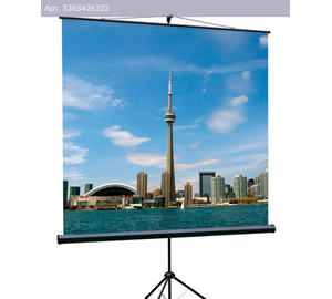 Экран рулонный Lumien Eco View LEV-100101