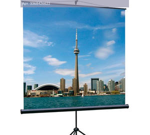 Экран рулонный Lumien Eco View LEV-100103