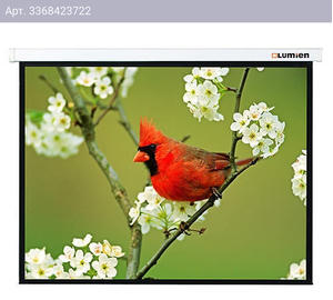 Экран рулонный Lumien Master Picture LMP-100108